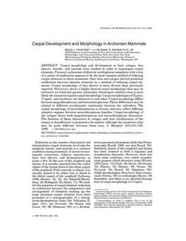 Carpal Development and Morphology in Archontan Mammals