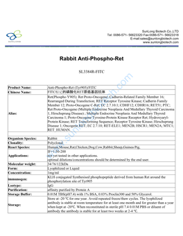 Rabbit Anti-Phospho-Ret-SL3384R-FITC