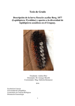 Lepidóptera: Pyralidae) Y Aportes a La Diversidad De Lepidópteros Acuáticos En El Uruguay