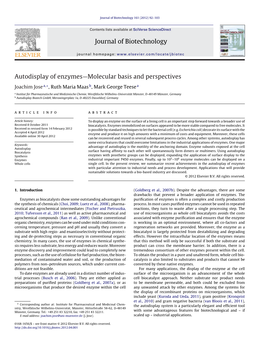 Autodisplay of Enzymes—Molecular Basis and Perspectives