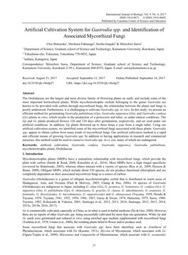 Artificial Cultivation System for Gastrodia Spp. and Identification of Associated Mycorrhizal Fungi