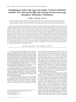 Morphological Study of the Eggs and Nymphs of Triatoma Dimidiata