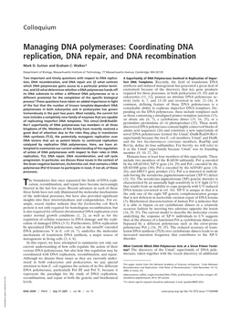 Managing DNA Polymerases: Coordinating DNA Replication, DNA Repair, and DNA Recombination