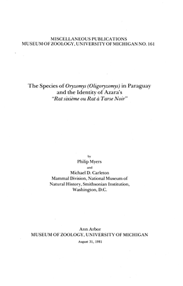 The Species of Oryzomys (Oligoryzomys) in Paraguay and the Identity of Azara's 