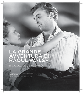 La Grande Avventura Di Raoul Walsh