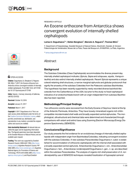 An Eocene Orthocone from Antarctica Shows Convergent Evolution of Internally Shelled Cephalopods