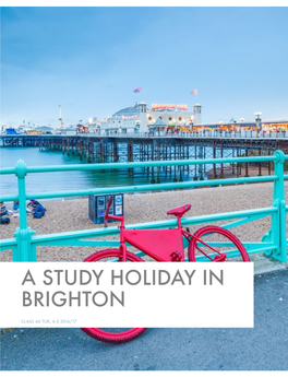 A Study Holiday in Brighton