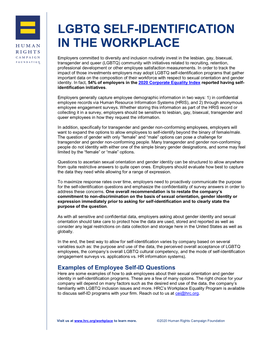 Lgbtq Self-Identification in the Workplace