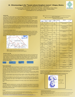 16. Ethnomycology in the “Tacaná Volcano Biosphere Reserve”, Chiapas, Mexico