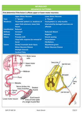 NEUROLOGY WEAKNESS PATTERNS First Determine If the Lesion Is Affects Upper Or Lower Motor Neurones