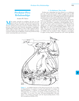 Predator-Prey Relationships