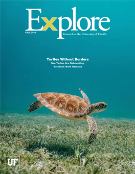 Turtles Without Borders Sea Turtles Are Rebounding, but Much Work Remains Fall 2019, Vol