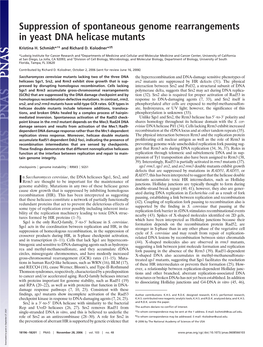 Suppression of Spontaneous Genome Rearrangements in Yeast DNA Helicase Mutants