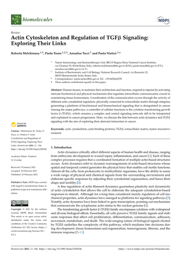 Actin Cytoskeleton and Regulation of Tgfβ Signaling: Exploring Their Links