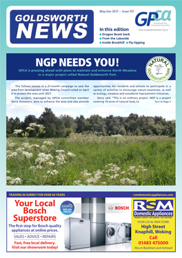 NGP NEEDS YOU! GPCA Is Pressing Ahead with Plans to Maintain and Enhance North Meadow in a Major Project Called Natural Goldsworth Park