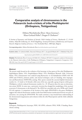 Comparative Analysis of Chromosomes in the Palaearctic Bush-Crickets of Tribe Pholidopterini (Orthoptera, Tettigoniinae)
