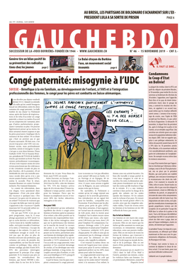 Congé Paternité: Misogynie À L'udc