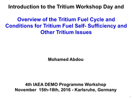 Tritium Breeding Blanket Technology, Tritium Fuel Cycle, and Tritium Self