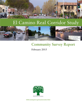 Survey Report February 2015