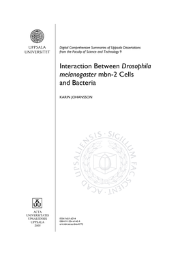 Interaction Between Drosophila Melanogaster Mbn-2 Cells and Bacteria