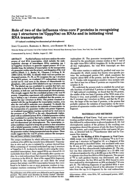 RNA Transcription (UV-Induced Crosslinkdng/Two-Dimensional Gel Electrophoresis) ISMO ULMANEN, BARBARA A