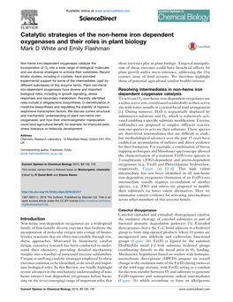 Catalytic Strategies of the Non-Heme Iron Dependent Oxygenases And