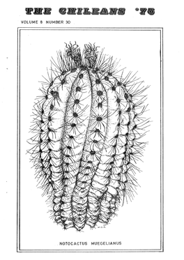 VOLUME 8 NUMBER 30 NOTOCACTUS MUEGELIANUS N.N