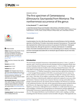 The First Specimen of Camarasaurus (Dinosauria: Sauropoda) from Montana: the Northernmost Occurrence of the Genus
