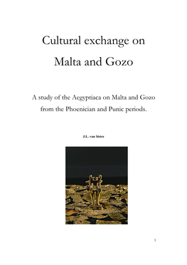 Cultural Exchange on Malta and Gozo