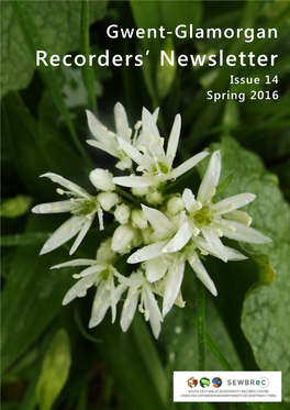 Gwent-Glamorgan Recorders' Newsletter Issue 14