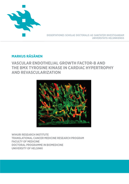 Vascular Endothelial Growth Factor-B and The