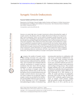 Synaptic Vesicle Endocytosis