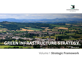 GREEN INFRASTRUCTURE STRATEGY March 2019