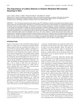 The Importance of Lattice Defects in Katanin-Mediated Microtubule Severing in Vitro