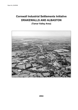 Drakewalls/Albaston CISI Report