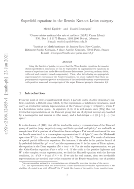 Superfield Equations in the Berezin-Kostant-Leites Category