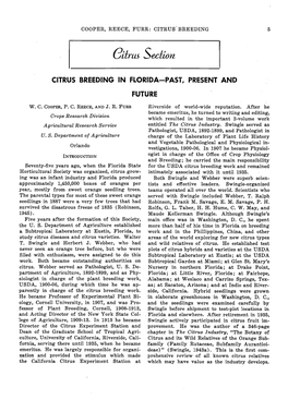 Citrus Breeding in Florida-Past, Present And