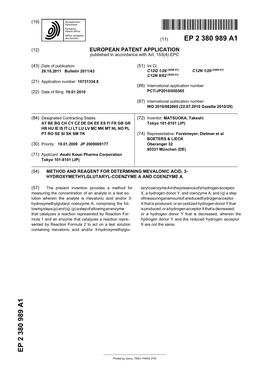 European Patent Office