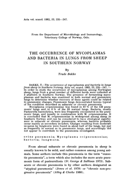 The Occurrence of Mycoplasmas and Bacteria in Lungs from Sheep in Southern Norway