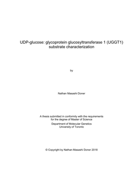 UDP-Glucose: Glycoprotein Glucosyltransferase 1 (UGGT1) Substrate Characterization
