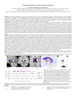 Automated Segmentation of Cerebral Ventricular Compartments