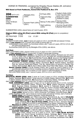 206 (WITH VAT) Medaglia D'oro Lady Capulet (USA)