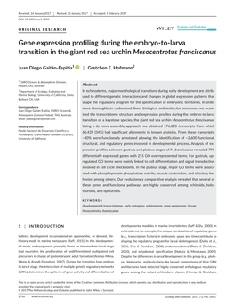 Larva Transition in the Giant Red Sea Urchin Mesocentrotus Franciscanus