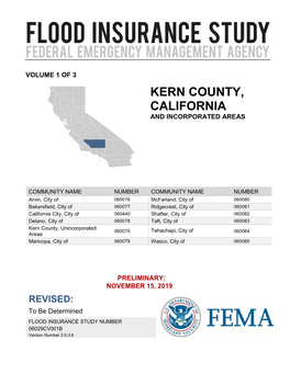 FIS Report Template