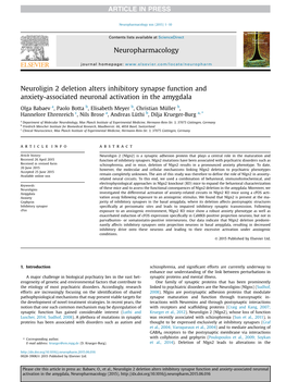 Neuroligin 2 Deletion Alters Inhibitory Synapse Function and Anxiety-Associated Neuronal Activation in the Amygdala