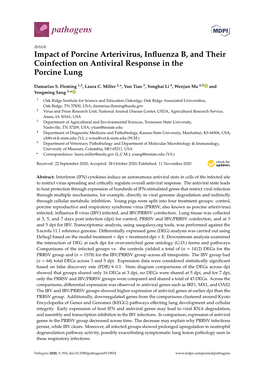 Impact of Porcine Arterivirus, Influenza B, and Their Coinfection on Antiviral Response in the Porcine Lung