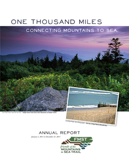 2011 Annual Report