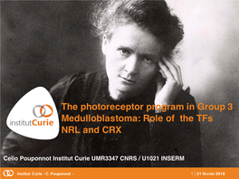 The Photoreceptor Program in Group 3 Medulloblastoma: Role of the Tfs NRL and CRX