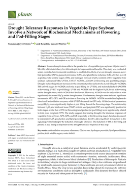 Drought Tolerance Responses in Vegetable-Type Soybean Involve a Network of Biochemical Mechanisms at Flowering and Pod-Filling Stages