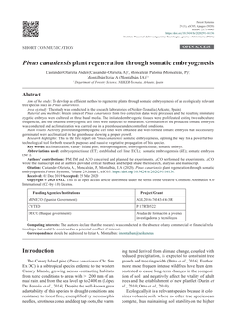 Pinus Canariensis Plant Regeneration Through Somatic Embryogenesis